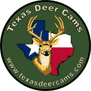 Texas Deer Cams